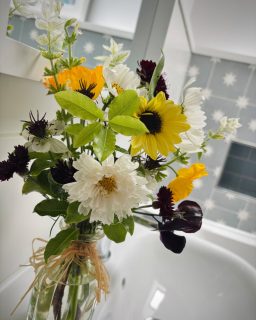 🌼 Summer Blooms at Beersheba
Summer has truly arrived, and our cut flower patch is flourishing in its third glorious year.
🌸 From vibrant pinks to the golden charm of yellow summers, each bloom has been hand-picked and thoughtfully placed into our self-catering properties — bringing the beauty of Cornwall indoors.
I just love the cheerful sunflowers and we have a great mix of blooms this year. It’s our way of adding a little extra joy to your stay.
Come and experience the scent, colour, and serenity that only freshly cut flowers, in a beautiful holiday location, can offer 💛
#BeershebaFarm #CornwallInBloom #FlowerPatchMagic