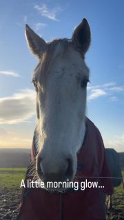 Storms one day, soft sunshine the next. ☀️

Morning visits from the ponies always make everything feel a little lighter and brighter.

#MorningCalm
#VisitCornwall
#WinterSunshine #BlueSkiesAhead
#BeershebaFarm