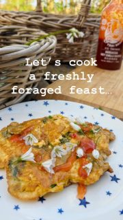 The pungent scent of wild garlic is filling the hedgerows. We have abundant 3-cornered leek (the Mediterranean invader) here in Cornwall so let’s cook up a foraged feast.
Spring cooking at its simplest — a tofu omelette packed with freshly foraged 3‑cornered leek and nettle tips. The first wild greens of the season always feel like a little celebration.
And it’s packed full of health benefits too.
This tasty recipe is from @wildfooduk.
#wildgarlic #springforaging #beershebafarm #cornwalllife #springcooking