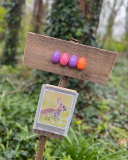 🌿 Wildflower Wood is easing into the Easter mood…
The woodland trail is all set, with eight woodland animals to find along the way and an Easter treat waiting for every child who completes it.
Our first guests of the season have arrived too, each welcomed with a hand‑painted Easter card.
Soft spring light in the trees, trail signs made from reclaimed pallet wood, and that lovely feeling that the season has truly begun.
#beershebafarm #wildflowerwood #easterincornwall #cornwalllife #springescape