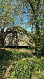 A lovely Easter to start the season…
So wonderful to have Wildflower Wood full of guests once more. The woodland trail was followed by little explorers, eager for their Easter treats.
Around us spring is painting the landscape vivid green for the growing season, and the first potatoes have gone into the ground.
In between the showers, the woods felt full of spring light again. The trees haven’t quite brought out their full green glory, but it’s on its way.
A gentle beginning to a new season at Wildflower Wood.
#beershebafarm #springincornwall #wildflowerwood #cornwalllife #easterweekend