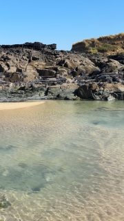 This 🌍 Earth Day, we’re reminded how incredible our planet really is — from the oceans to the woodlands and every small habitat in between. 

Nature shows us how to slow down, pay attention, and protect the places we love. 

Our power, our planet — it starts with simple moments outside.

#earthday2026
#ourpowerourplanet
#wildflowerwood
#cornwallcoast
#lovewherewelive