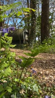 Whitsun week is looking beautiful — sunshine, long beach days and the woods at their best.

If you’re craving a little space, a little calm, and a chance to make some simple family memories, we still have a few short stays left.

🌿 2‑night Fri/Sat stays: 29 May — £250
🌿 3‑night stays (Gwithian): 23 or 28 May — £299

Spend the day on the sand, then wander back to the woods for slow evenings and firepit moments.

Everything else is fully booked — so if you’ve been thinking about a spring escape, this is the moment.

A gentle invitation to join us in the woods.

#wildflowerwood
#staycationuk
#whitsunbreaks
#familyglamping
#cornwallwithkids