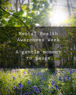 Mental Health Awareness Week begins today.

If the world feels heavy, you’re not alone.
A gentle moment to pause.

#mentalhealthawarenessweek #bekindtoyourmind #natureheals #wildflowerwood #cornwalllife