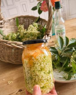 A little taste of summer…

The last of the elderflowers have gone into a small‑batch Elderflower Gin Liqueur I started infusing today — bright, floral and finished with a twist of grapefruit.

A new accidental recipe that I’m excited to try - Andrew went to buy oranges… forgot his glasses… came home with grapefruit instead 🙄.

Now comes the hard part: waiting 2–4 weeks before I can strain it, sweeten it, and finally pour that first sunshine‑gold glass.

Full recipe and review to follow — but here’s a first peek at this year’s infusion.

#elderflower #tasteofsummer #cornwalllife #wildflowerwood #foraginguk