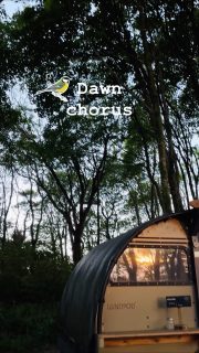 Got to be an early bird 🐦⬛ to catch the dawn chorus at the height of summer.
Sunrise over the Landpod, birdsong 🎶 in the trees, and the woods slowly waking.
Luckily all our Landpods have exceptional blackout blinds — so you can snooze peacefully until you’re ready to rise.
#dawnchorus
#wildflowerwood
#cornwalllife
#landpods
#summermornings
