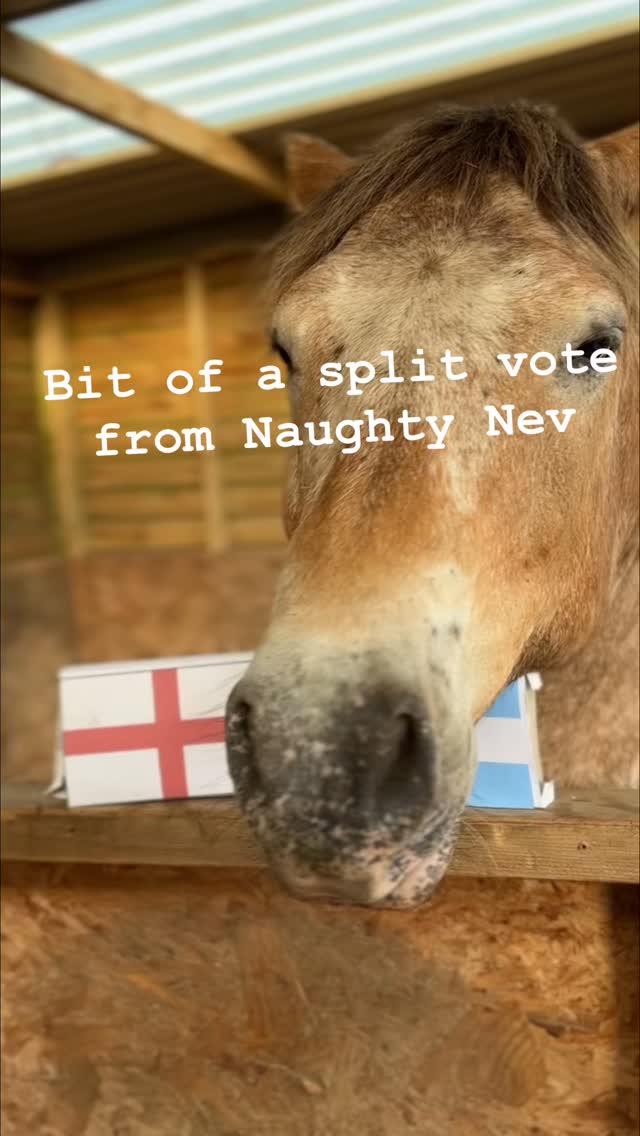 #threelions #worldcup2026⚽️