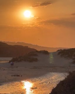 An eclipse at dusk, the Perseids at their peak 💫, and a sky that stretches from coast to coast.

Beersheba Farm sits under a huge open horizon — sea level north, sea level south — perfect for stargazing from Brea Cottage, The Studio and Wildflower Wood.

And with west‑facing beaches on the north coast just moments away, it’s an incredible spot to watch the eclipse sinking to the sea.

A night to slow down and watch the sky.

#beershebafarm #cornwalllife #cornwallcoast
#eclipse #nightsky