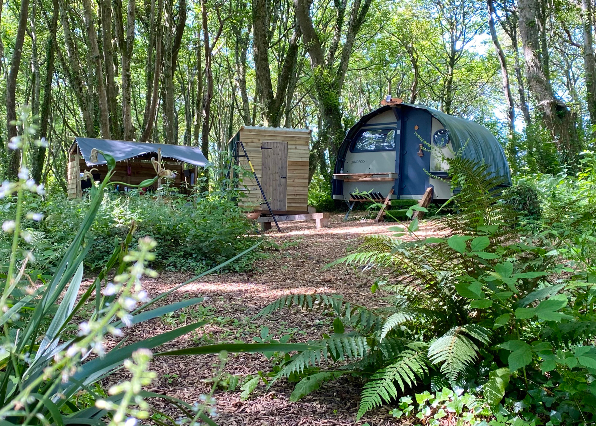 Glamping at Wildflower Wood