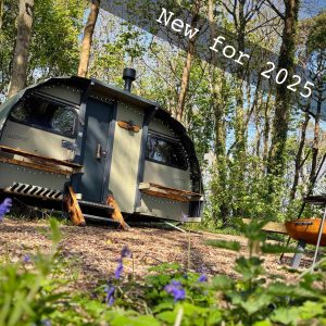 Saltings new for 2025