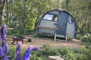 Landpod in Wildflower Wood with bluebells