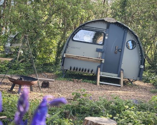 Landpod in Wildflower Wood with bluebells Landpod in Wildflower Wood with bluebells