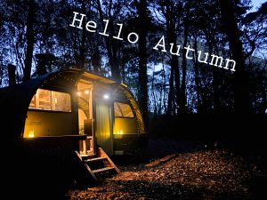 Saltings Landpod lit up at night